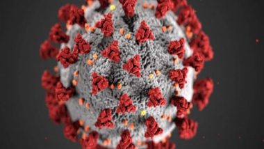 Science News | Study Shows Inhibiting Targets of SARS-CoV-2 Proteases Can Block Infection