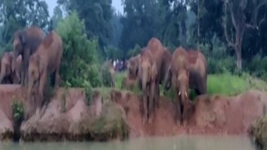 India News | Odisha: People Fear for Crops as Herd of Elephants Come in Mayubhanj