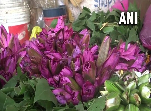 India News | Assam: Despite Festive Season, Flower Business Yet to Pick Up Pace