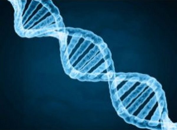 Science News | Study Identifies Gene Behind an Unusual Form of Cushing's Syndrome