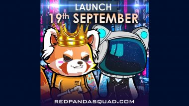 The Latest Digital Creations to Hit the NFT Space is the Red Panda Squad