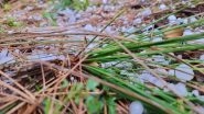 India News | Hailstorm Brings Respite from Heat in J-K's Udhampur