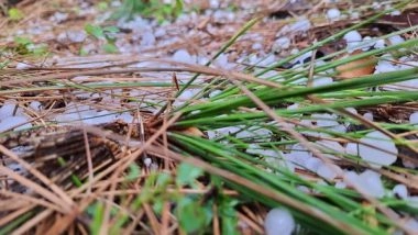 India News | Hailstorm Brings Respite from Heat in J-K's Udhampur