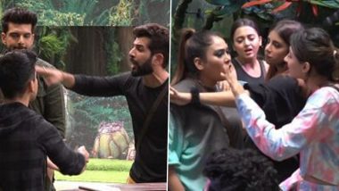 Bigg Boss 15: Big Fight Erupts Between Afsana Khan-Vidhi Pandya, Jay Bhanushali-Pratik Sehajpal in Salman Khan’s Reality Show