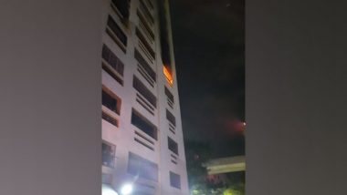 Maharashtra: Fire Breaks Out at Residential Building in Thane, No Causality Reported