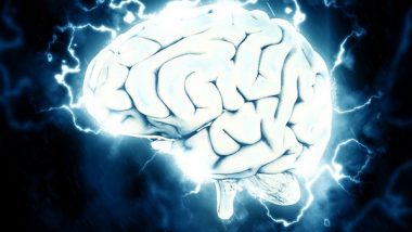 Science News | Study Explores Hidden Territory of Human Brain | LatestLY