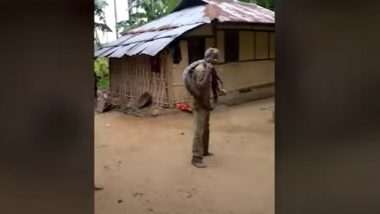 Assam: Man Dies of Snakebite While Showing Off His King Cobra Catch in Cachar, Watch Video