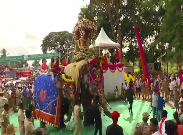 India News | Karnataka: Elephant Carrying Howdah Panicked Due to Loud Noises During Dasara Celebrations in Mandya, No Injuries Reported