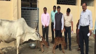 Madhya Pradesh: Jabalpur University Breeds Two Female Calves Using Embryo Transplant Technology