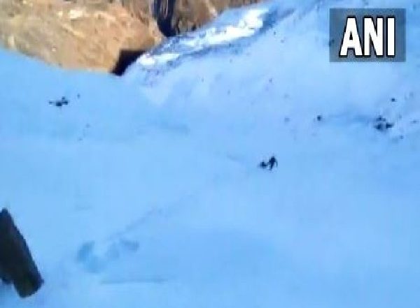 India News | SDRF Retrieves Bodies of Five Missing Trekkers in Uttrakhand's Bageshwar