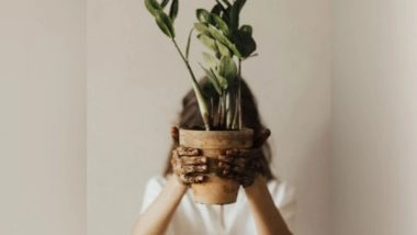 Science News | Study Identifies Proteins That Support Photosynthesis in Iron-deficient Plants