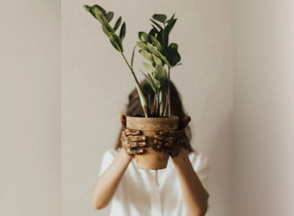 Science News | Study Identifies Proteins That Support Photosynthesis in Iron-deficient Plants