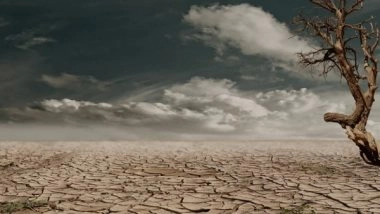 World News | Greenhouse Gas Levels Hit Record High in 2020: World Meteorological Organization Report