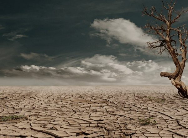 World News | Greenhouse Gas Levels Hit Record High in 2020: World Meteorological Organization Report