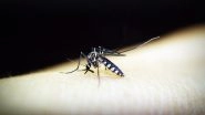 Dengue in Uttar Pradesh: 26 New Cases Reported in Ghaziabad; Tally Rises to 547 in October