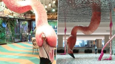 Diet Sabya Calls Out Bigg Boss 15 Set Designers for Copying Matthew Mazzotta’s Pink Flamingo Artwork