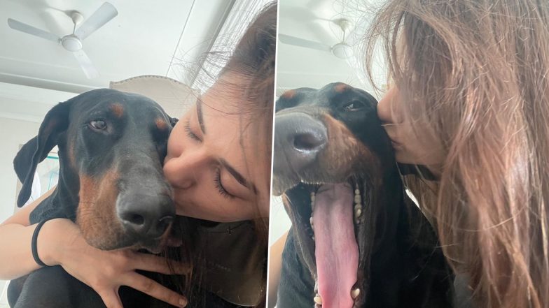 Disha Patani’s Cute Pictures With Her Dogs Will Ligten up Your Mood Instantly (View Pics)