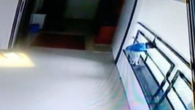 Surat: Toddler Falls Off Eighth Floor of Residential Tower While Playing, Dies; Video Captures Tragic Incident
