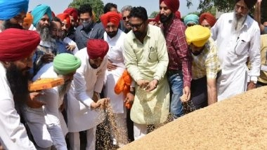 India News | Punjab CM Visits Grain Market in Rupnagar to Kick Start Paddy Procurement