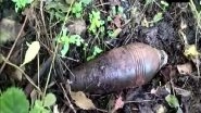 India News | Army Destroys Unexploded Mortar Shell Recovered in J-K's Poonch