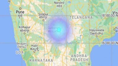 Earthquake in Karnataka: Quake of Magnitude 3.4 on Richter Scale Hits Gulbarga