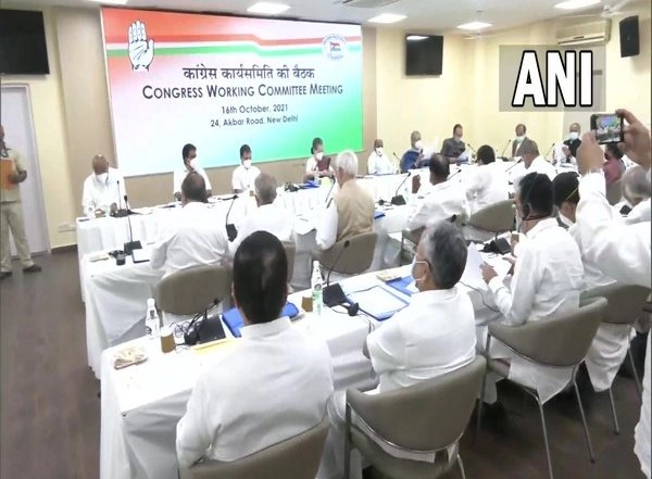India News | I Am Full-time, Hands-on Congress President, Says Sonia Gandhi at CWC Meeting