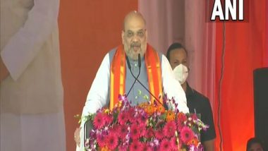 Uttar Pradesh Assembly Elections 2022: If You Want PM Narendra Modi in 2024, Ensure Yogi Adityanath Wins in Upcoming Polls, Says Amit Shah to UP Voters