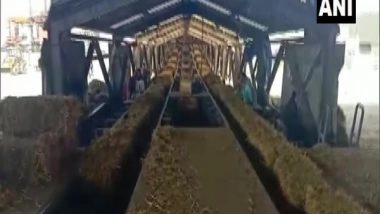India News | Punjab: Ferozpur's Biomass Power Plant Generating Electricity Using Stubble