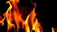 India News | Chennai: Couple Charred to Death Due to Fire in AC Unit of Rented Flat