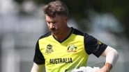 David Warner Receives Backing From Brett Lee, Says Dropped Sunrisers Hyderabad Player Was Not Even Allowed To Go the Stadium During IPL 2021