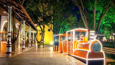 Dussehra 2021 Celebrations: Lightings Light Up Mysuru Rail Museum During 10-Day Festival (See Pics)