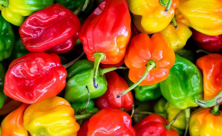 10 Anti-Cancer Fruits and Vegetables You Should Never Forget to Eat