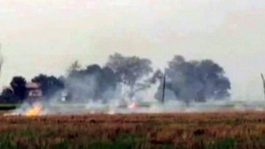 India News | Paddy Residue Burning Reduced in Punjab, Haryana, UP: Centre