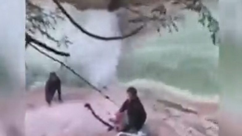 Sikh Men Use Their Turbans To Rescue Stranded Hiker at Canada Waterfall, Watch Video