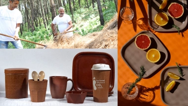 Creating a Sustainable Future, One Pine-Needle Toothbrush at a Time