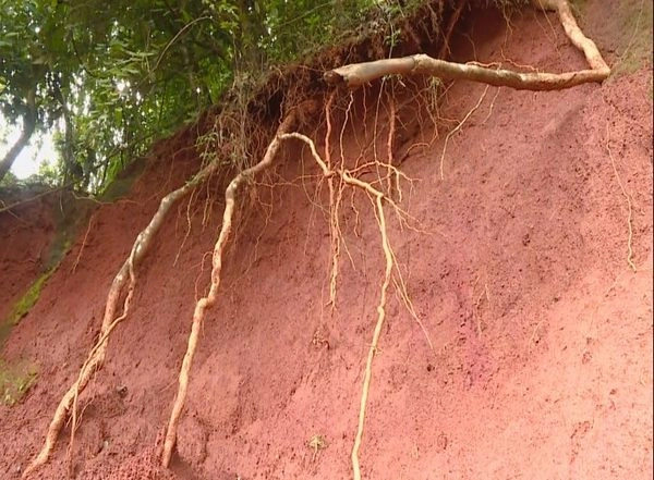 India News | Karnataka: Landslide Threat Looms in Western Ghats Due to Loss of Forest Cover