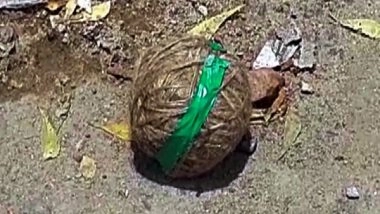 World News | 18 Crude Bombs Found at Hindu Temple in Bangladesh's Khulna