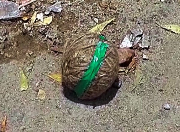 World News | 18 Crude Bombs Found at Hindu Temple in Bangladesh's Khulna