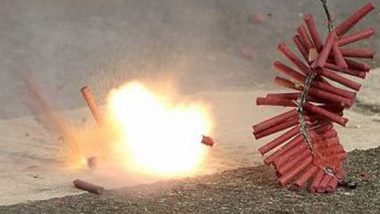 Diwali 2021: 37 kg Firecrackers Seized in Delhi’s Govindpuri, 2 Held