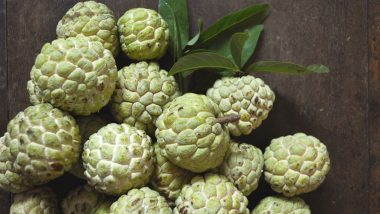 Maharashtra: Custard Apple Cultivation Brings Handsome Earning to Farmer in Drought-Prone Latur