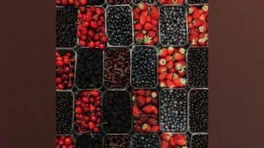 Health News | Leaky Gut Syndrome in Elderly Can Be Improved by Polyphenol-rich Diets: Study