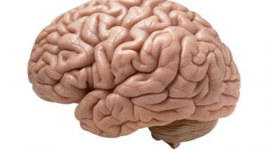 Science News | Personality Traits Linked to Hallmarks of Alzheimer's Disease