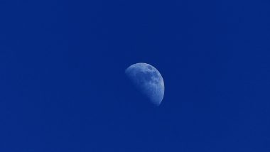Rabi Ul Awwal 2022 in Australia: Moon Not Sighted, Rabi al-Awwal To Begin From September 28; Eid Milad Un Nabi on October 9