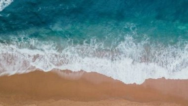 Science News | Scientists Discover Twenty-four Trillion Pieces of Microplastics in Ocean and Counting