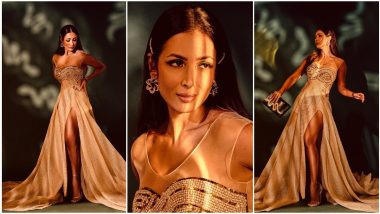 Malaika Arora Looks Like the Glittery Goddess On the Red Carpet of Miss Diva 2021 Finale (View Pics)