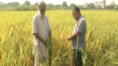 India News | Cases of Paddy Straw Burning Drop in Punjab's Ludhiana