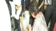 India News | Congress Leader Priyanka Gandhi Provides First Aid to Accident Victim on Her Way to Agra