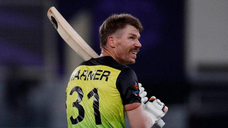 David Warner Wishes Fans on the Occasion of Diwali 2021, Check Australian Cricketer's Instagram Post