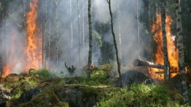 Lifestyle News | Forest Fires Linked to Low Birth Weight in Newborns, Says Study