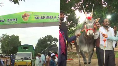 Rare Hallikar Breed Bull Priced at Rs 1 Crore, Expensive Semen in High Demand at Krishi Mela in Bengaluru